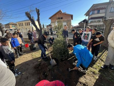 Кледно дръвче - ОУ Неофит Рилски - Баня