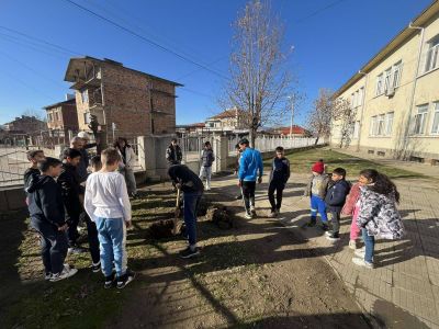 Кледно дръвче - ОУ Неофит Рилски - Баня